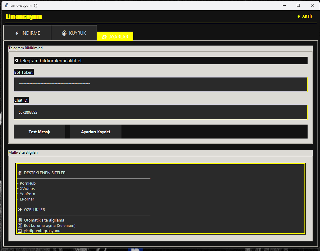 Limoncuyum - Modern Video İndirme Sistemi